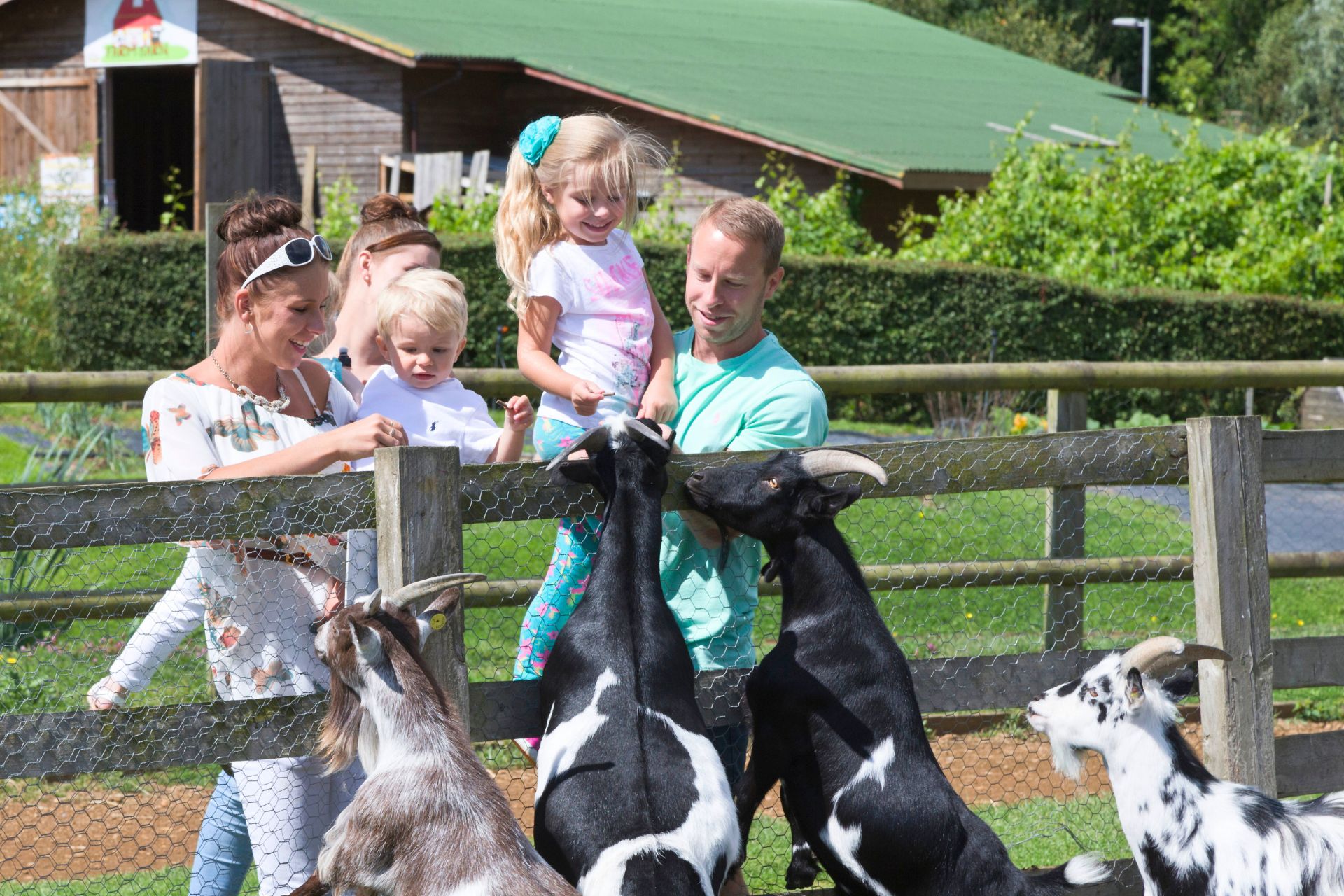 Untitled Design (10)